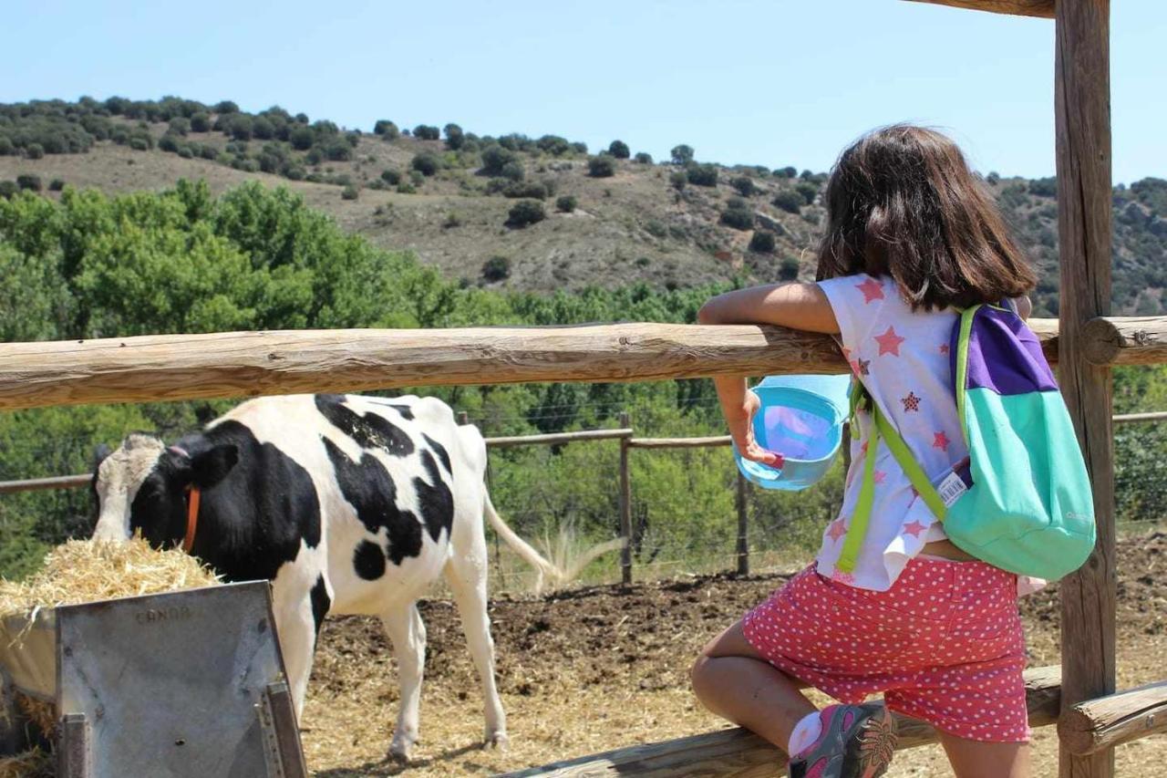 Casa El Tio Carrascon Alojamiento Rural Cerveruela Eksteriør bilde